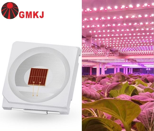 Far red led 730nm SMD 3030